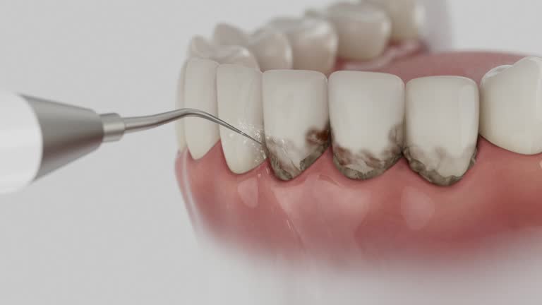 Reliable Dental contractor in Carrollton, AL by Dentist Open Now
